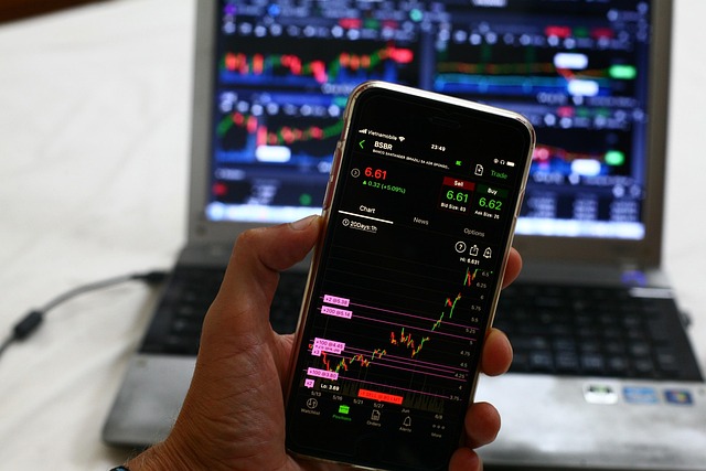 smartphone app interface for remote home automation management